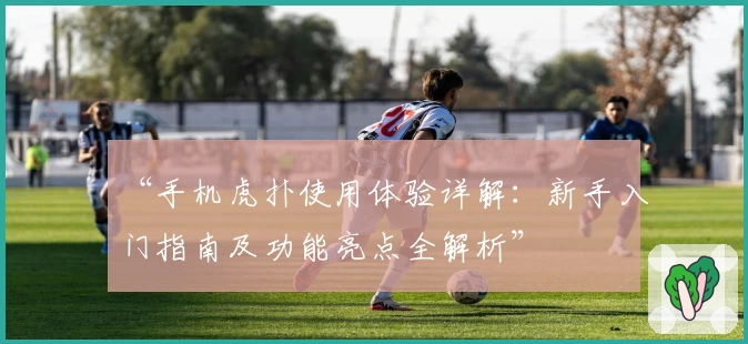 “手机虎扑使用体验详解:新手入门指南及功能亮点全解析”