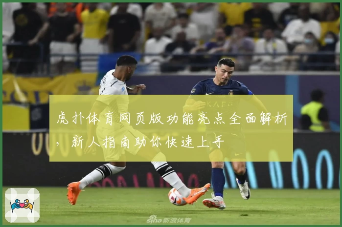 虎扑体育网页版功能亮点全面解析，新人指南助你快速上手