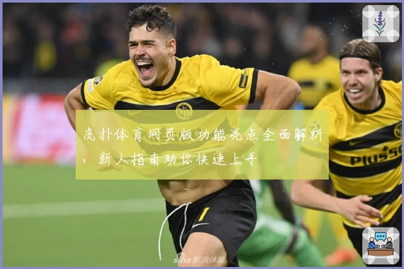 虎扑体育网页版功能亮点全面解析，新人指南助你快速上手